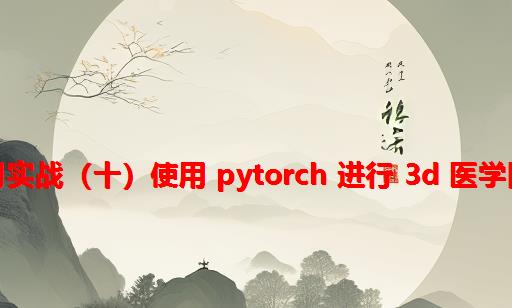 深度学习实战（十）：使用 PyTorch 进行 3D 医学图像分割